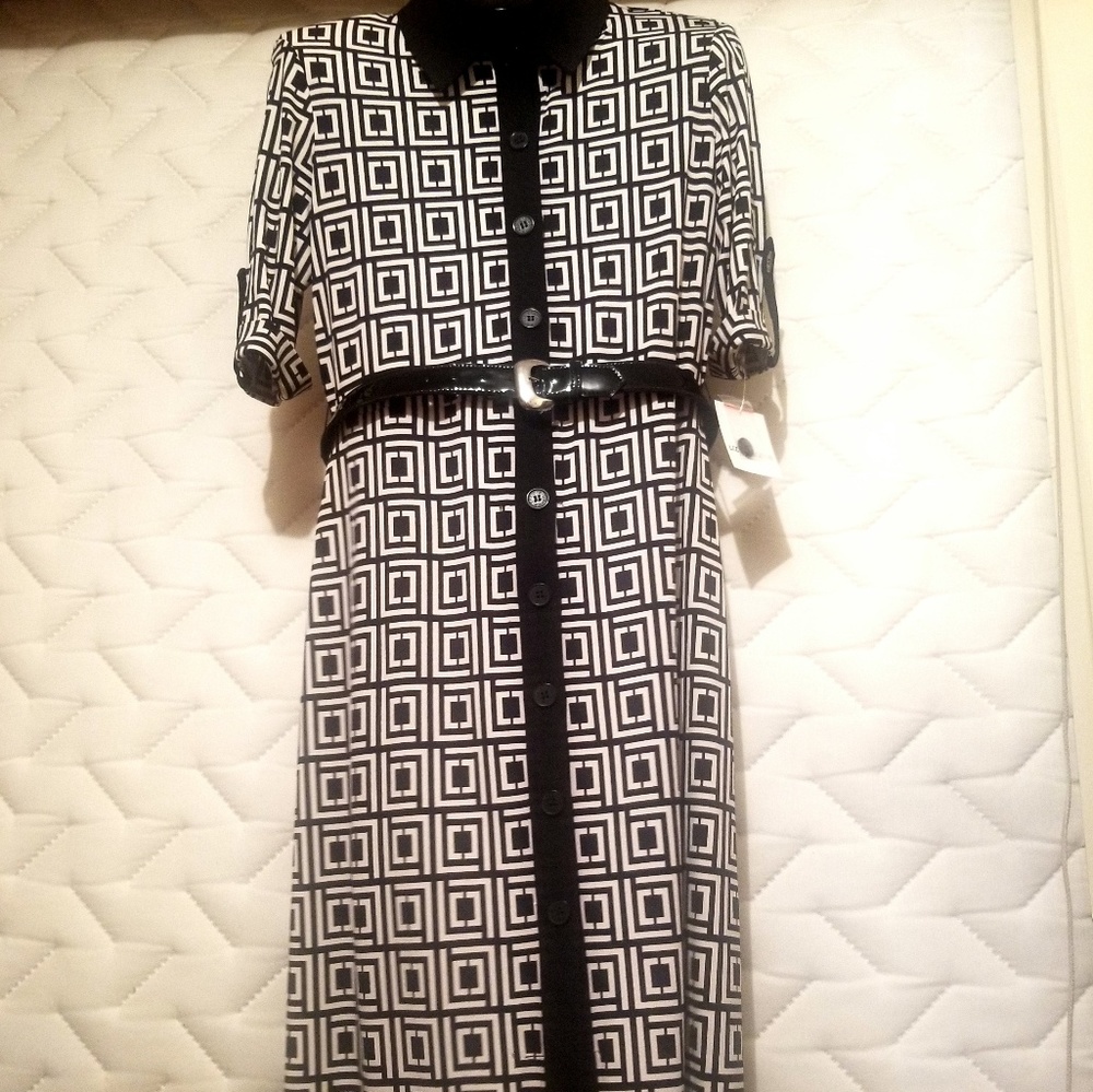 Liz Clairborne Signature  Block Dress_no belt